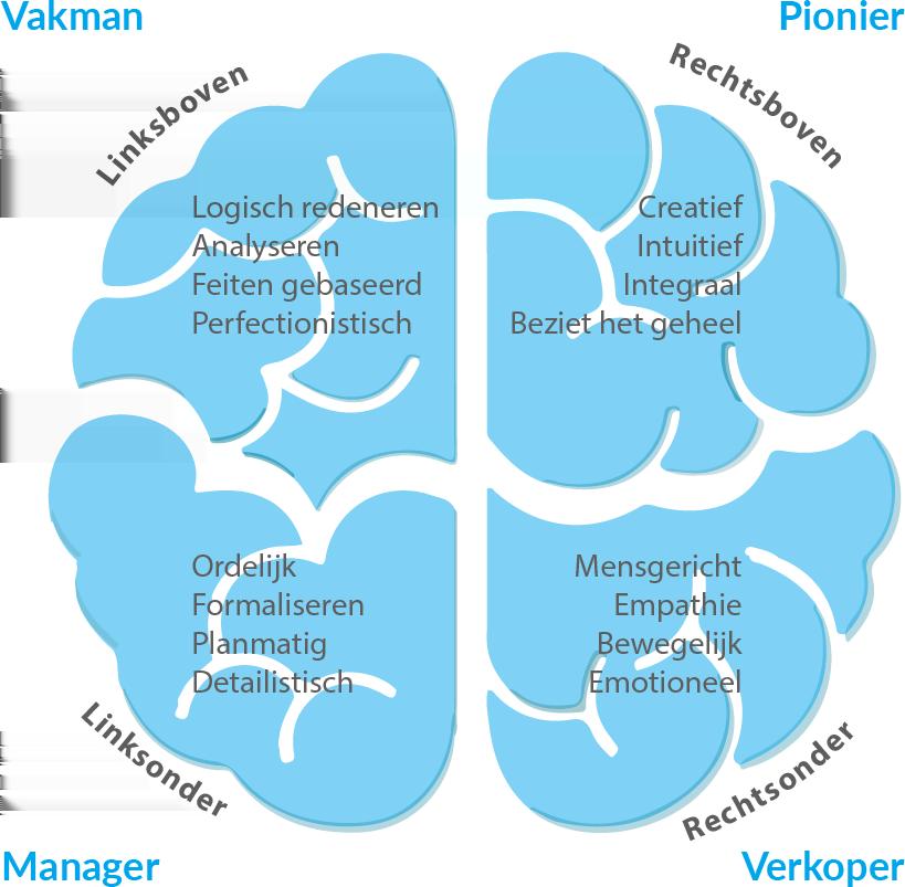 E-Scan voor starters - Voorbeeld Naam 29 ONDERNEMERSDENKSTIJLEN Je voorkeur voor een bepaalde denkstijl De structuur van je hersenen heeft een directe relatie met de manier waarop je denkt: je