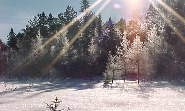 FSC Internationaal Boreaal bos in Canada Duurzaam bosbeheer Aan het einde van de jaren 80 beslisten milieuorganisaties, geconfronteerd met de ontbossing in de tropen, om tot een boycot van tropisch