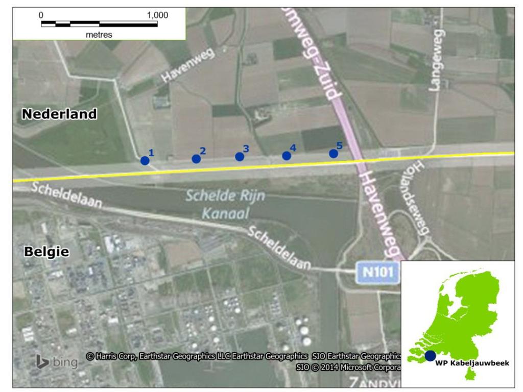 a) Ligging windpark Kabeljauwbeek Het windpark is parallel aan de Belgische grens gelegen. Figuur 1 toont de windturbines van Windpark Kabeljauwbeek (blauw) en de Belgische grens (gele lijn).