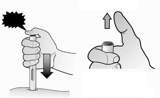 3. Druk de rode knop kort in en laat direct los. Laat de knop los KLIK Houd druk op de huid gedurende de injectie 4.