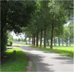 losse bomen. De Linderbeek slingert door een open landschap.