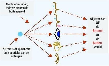 Je eigen waarheid bezitten: Langzaam maar zeker, zal je op basis van je eigen mening, observatie, conclusie en ervaring gaan inzien Ik ben geen van deze gedachten!