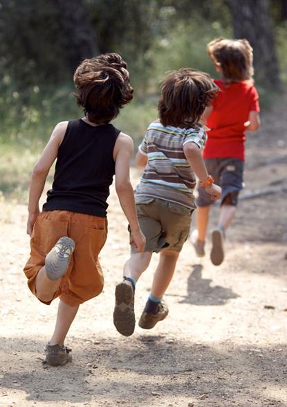 ALCIS 1 5 landen 84 scholen 171 docenten 8,000 leerlingen 47:53 jongens : meisjes