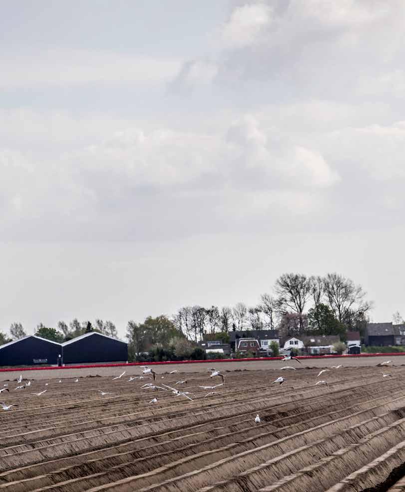 TEKST: REMKO EBBERS FOTO: ROBIN UTRECHT/HH DE TOEKOMST VAN DE NEDERLANDSE BOER IS DE ROBOT (EN DIT ZIJN DE TECHNEUTEN DIE DAARVOOR