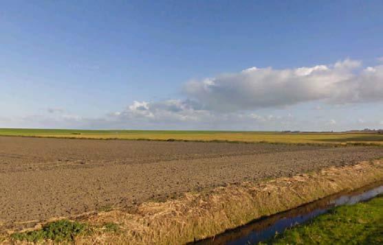 Zicht van de kwelderwal Boer - Ried over de kweldervlakte, richting de kwelderwal Schalsum - Peins (bron: Google Streetview) Figuur 32.