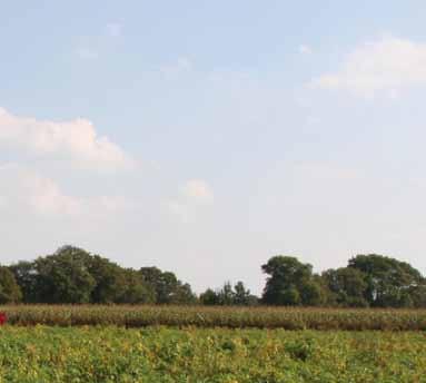 Veehouders profiteren van kennisoverdracht Vanuit de akkerbouw is er veel kennis over bodemvruchtbaarheid en bodembeheer.