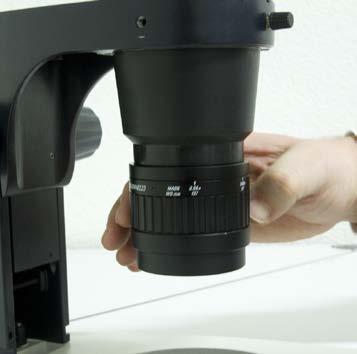 Tips voor ergonomisch werken Stel uw stereomicroscoop optimaal in.