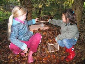 Het egelhuis Op 1 oktober jl. was de introductieles van de vernieuwde herfstspeurtocht voor de bovenbouwleerlingen. De gidsen mochten de speurtocht komen testen en eventueel hun kinderen meenemen.