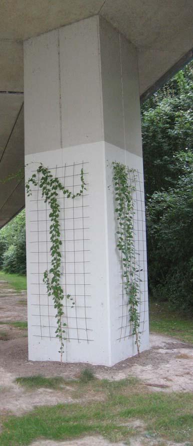 Wij streven naar een luchtkwaliteit die binnen de gestelde grenswaardes ligt.