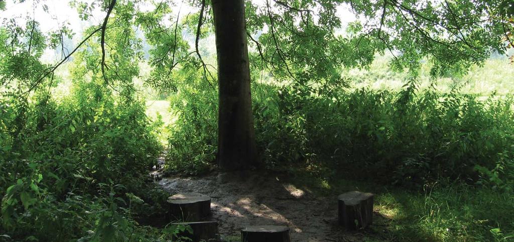 Bomen geven een woonplek een eigen identiteit door bewust te combineren in kleur (blad en stam), transparantie van de kroon, vorm en formaat.