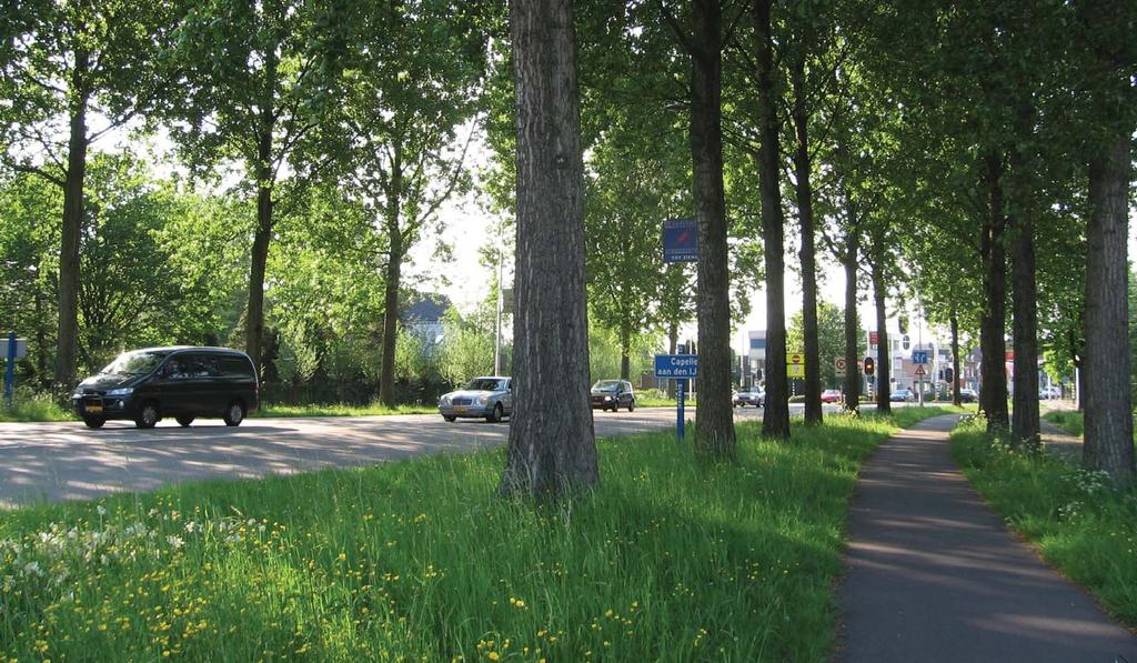 Bomen in lijnbeplanting begeleiden het verkeer. Een solitaire boom op de juiste plek is een marker, een herkenningspunt en kan zo de veiligheid vergroten.