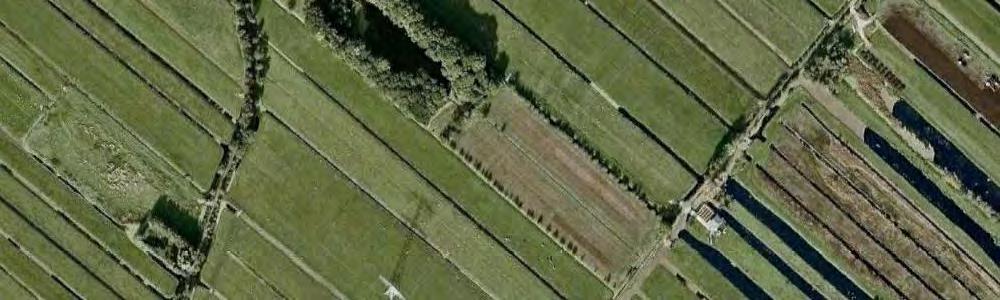 Uitzondering hierop zijn de stedelijke ontwikkeling en de aanleg van bossen en de provinciale weg.