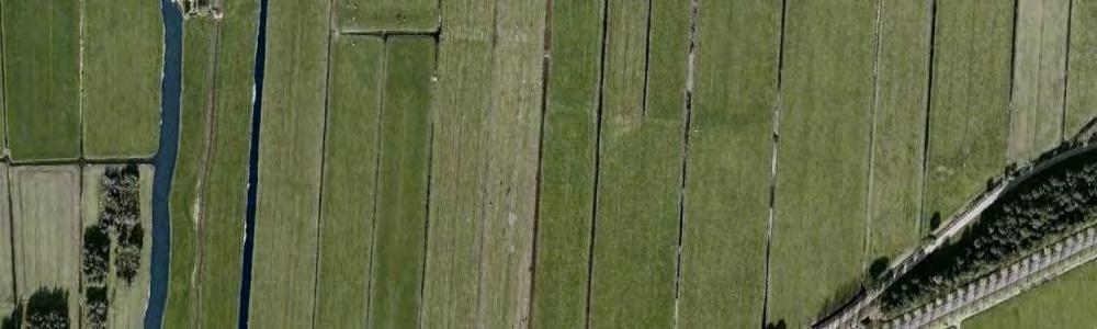 aaneengesloten linten maar eilanden in de open ruimte. De Schoonenburgweg is transparant beplant waardoor de openheid van het landschap herkenbaar aanwezig is. Figuur 5.