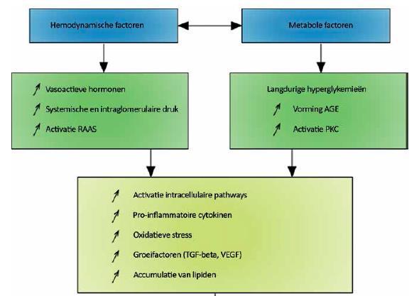 Moleculaire mechanismen Morrens a, Gillard