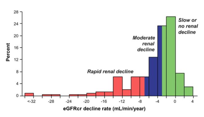 egfr achteruitgang bij macroalbuminurie (n=240) Type 1 diabetes,