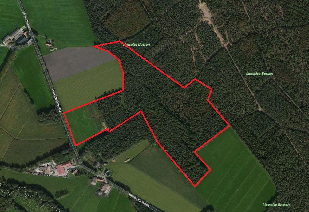 documentkenmerk: 1703/037/BD-01, versie 0 Figuur 2.1: luchtfoto onderzoekslocatie. Het perceel dat grenst aan de Hazeldonkseweg is momenteel nog in gebruik als akkerbouwgrond.