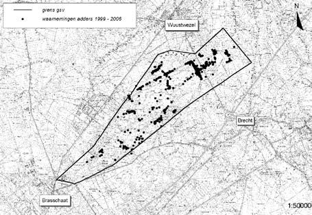 26 9(2) 2007 27 kleine 10 kilometer van de Belgische populaties, geen adders (meer) voorkomen. Ook hier wordt wel de gladde slang gevonden (van Delft & Schuitema, 2005).