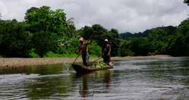 Colombia VERLENGING PACIFISCHE KUST VAN COLOMBIA BAHÍA SOLANO PERIODE D S 11.08.18-16.08.18 1.240 1.390 24.11.18-29.11.18 1.240 1.390 INBEGREPEN - Vluchten in economy class van Medellín naar Bahía Solano incl.