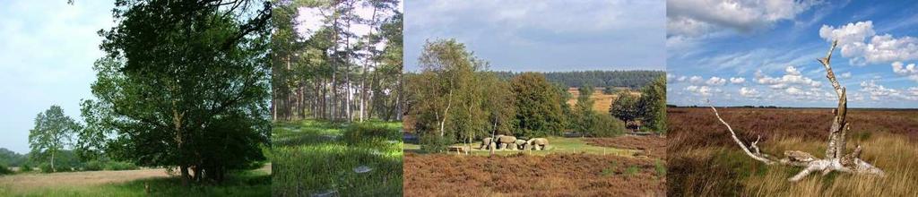 landschapselementen zoals houtwallen, natuurvriendelijke oevers en ecologisch beheerde bermen en akkerranden.