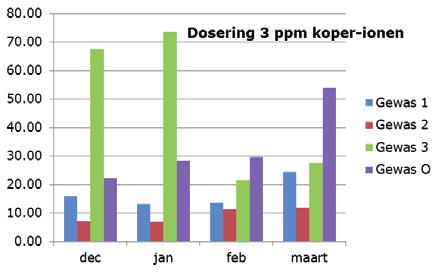 Eenmalig (3 maart) is ook de bulb afzonderlijk van het blad op koper geanalyseerd. In de bulb werd 34.22 ppm koper gevonden. In blad en bulb samen zou dat in totaal 55.62 ppm zijn.