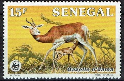 Voor de postzegelverzamelaars komen in de loop der tijd mooie groene albums in omloop met daarin postzegels en FDC's van bedreigde