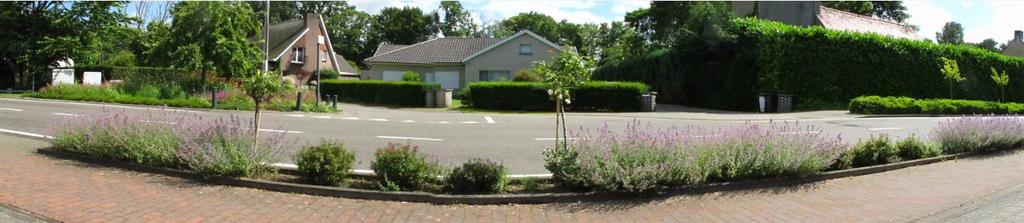 Loveldstraat-Laarnebaan Het in- en uitrijden van de Loveldstraat aan de Laarnebaan kan niet op een veilige manier. Een groenstrook verhinderd De veilige oversteek.