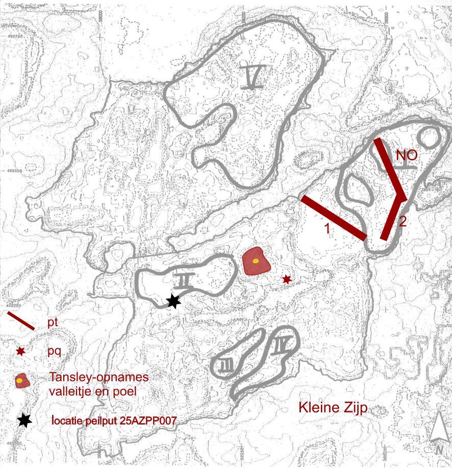 35 3.8. Kleine Zijp Ligging en streefbeeld Deze secundaire duinvallei ligt in het buitenduin van het Kraansvlak.