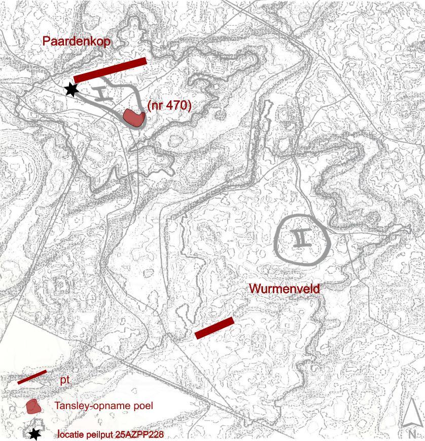 43 3.9. Paardenkop grasland en poelen Ligging en streefbeeld Dit is een 9 ha groot valleiencomplex in het Kraansvlak ten oosten van het circuit van Zandvoort.