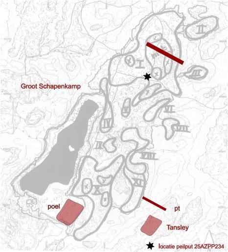 54 3.11. Groot Schapenkamp grasland en poel Ligging en streefbeeld Vallei Groot Schapenkamp is een in totaal 29 ha groot valleicomplex met veel reliëf en veel kleine voormalige duinakkertjes.