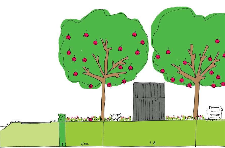 als schapenschuurtje informeel parkeren D- Landschappelijke inpassing noordzijde profiel boomgaard met