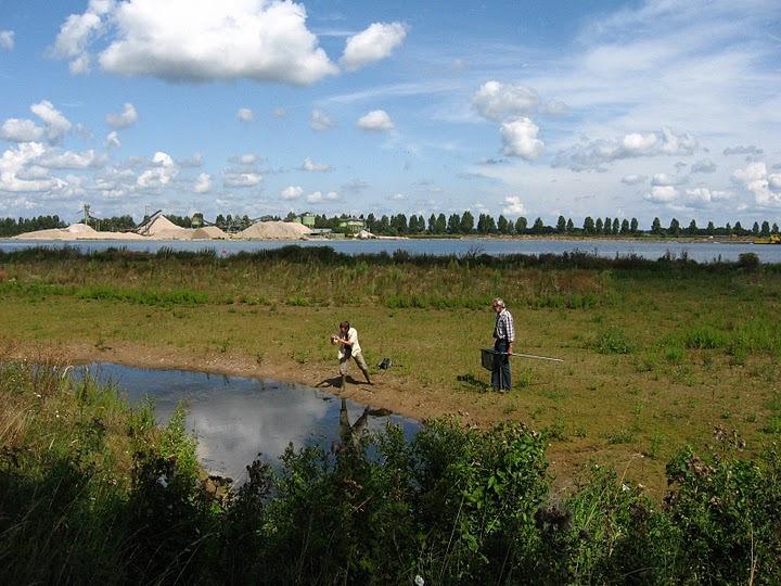 1.3 Samenwerking vrijwilligers In dit project hebben diverse vrijwilligers uit de regio veldonderzoek gedaan.