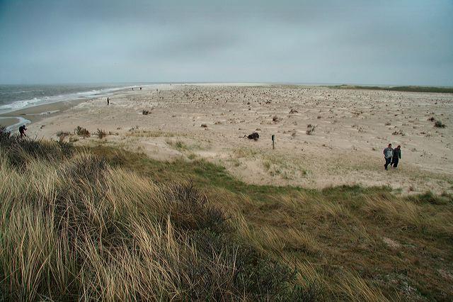 NATUUR HEEFT GEBRUIKSWAARDE EN INTRINSIEKE WAARDE Alle levende organismen zijn afhankelijk van de natuur Natuur levert ons goederen en diensten: