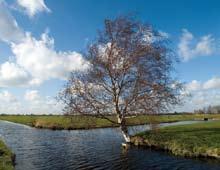 Die afname betreft vooral de middelgrote veehouderijbedrijven.