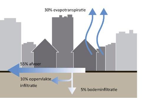 Waarom aandacht voor waterbewust ontwikkelen? Verstedelijking Al meer dan de helft van de mensen woont in de stad en deze tendens zet door.