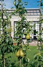 De afgelopen jaren zijn er veel gemeenschappelijke moestuinen gerealiseerd door