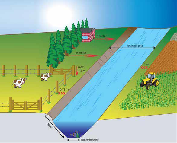 4. Erfdienstbaarheid provincie thv waterloop Afstandsregels Als je naast een waterloop woont, moet je erover waken dat de beheerder de waterloop probleemloos met machines en werktuigen kan bereiken.