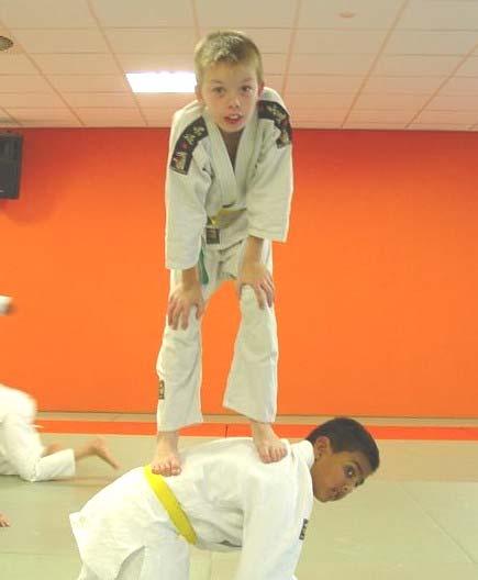 JU SEI DO is een ideologische instelling die zich ten doel stelt het nobele judo te bevorderen door trainingen en andere