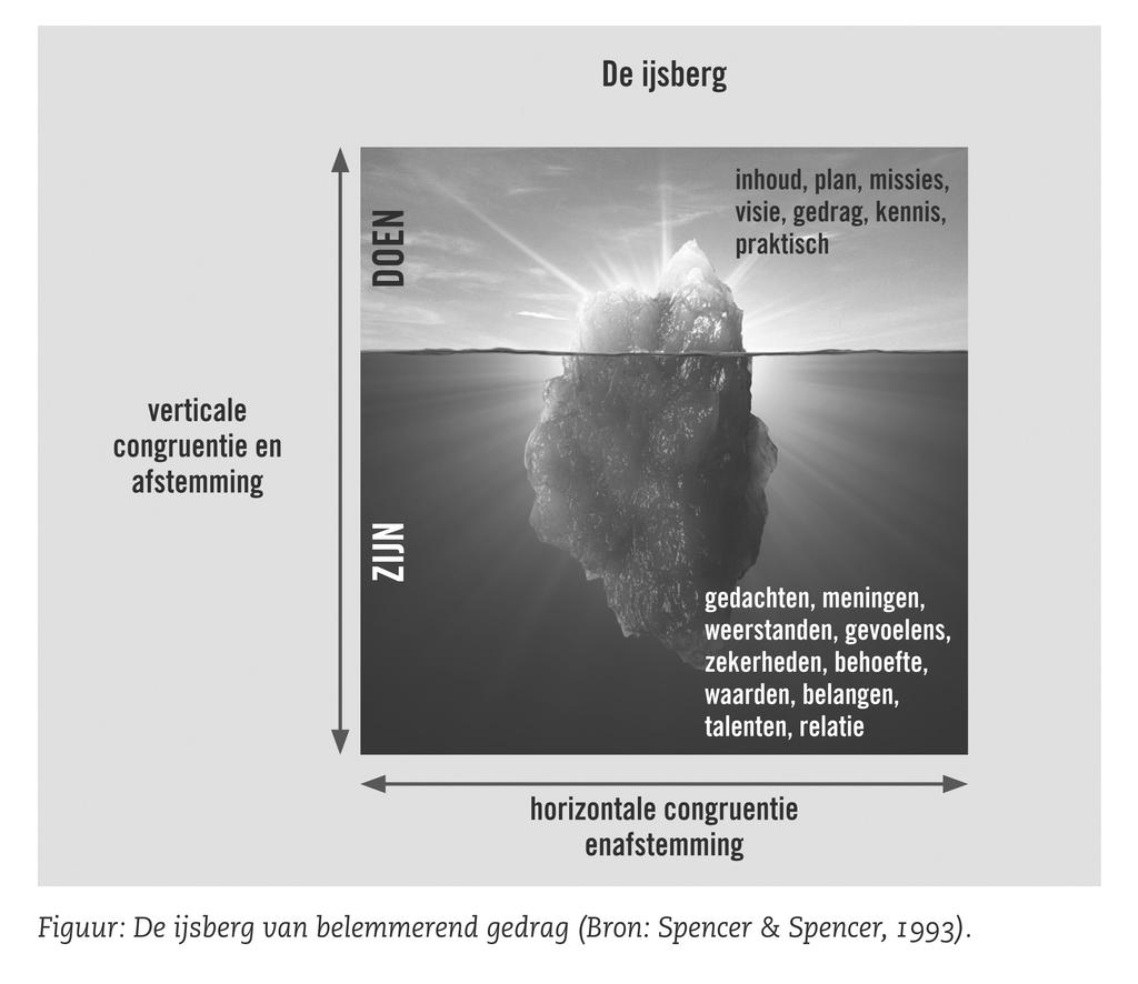 Deze onderstroom bestaat onder andere uit overtuigingen, waarden, normen, principes, onzichtbare emoties en gevoelens, ideeën, oordelen en belangen. Deze lagen sturen ons gedrag.