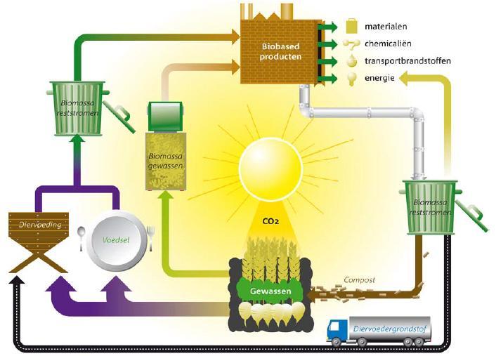 figuur is de kringloop van reststromen en materialen in de Bio Based Economy schematisch weergegeven.