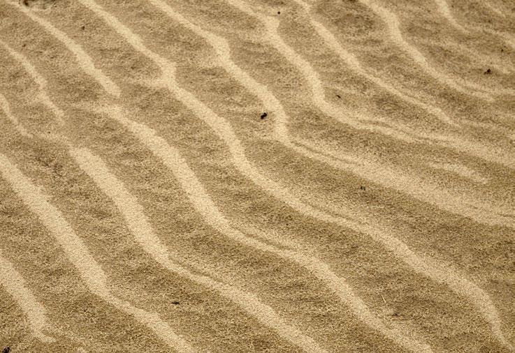 Stuivend zand in Nationaal Park Drents-Friese Wold 1.3 Leeswijzer Na deze inleiding geven we in het tweede hoofdstuk aan wat onze missie en visie inhoudt.