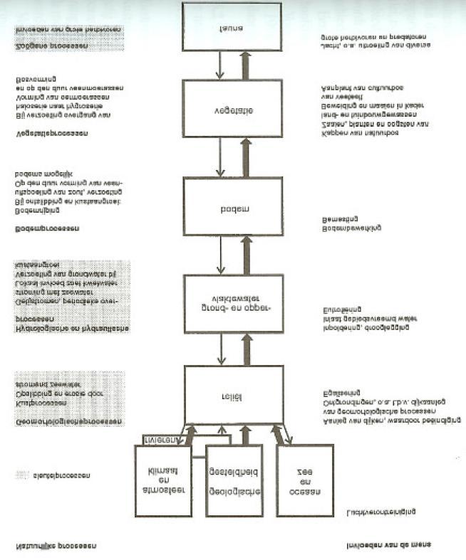 nismen zorgen er ook voor dat deze schalen in elkaar geïntegreerd worden. Er is daarin een zekere hiërarchie: de trend van de kleinschalige veranderingen die worden bepaald door de middelschalige enz.