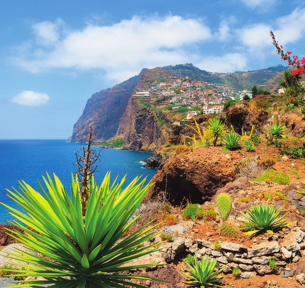 Het wordt wel het bloemeneiland genoemd, het hele jaar door zijn de tuinen van Madeira een lust voor het oog.