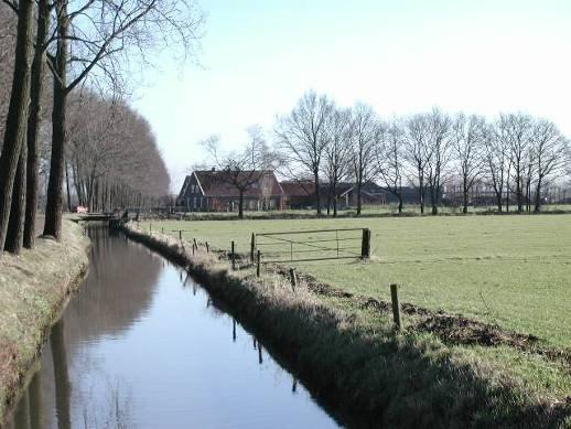 Deze bebouwing heeft zich vanaf het eind van de achttiende eeuw gevestigd op de oeverwallen. De agrarische activiteiten bestaan uit akkerbouw, grasland en bomenteelt.