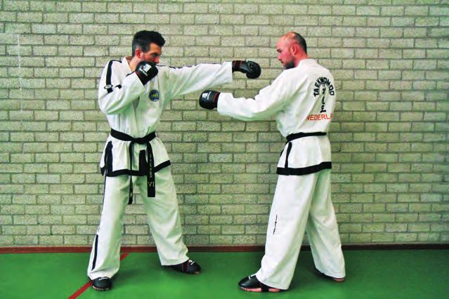 6. Taekwon-Do praktisch 95 de aard van het gepleegde feit een bestraffing toe te kennen.