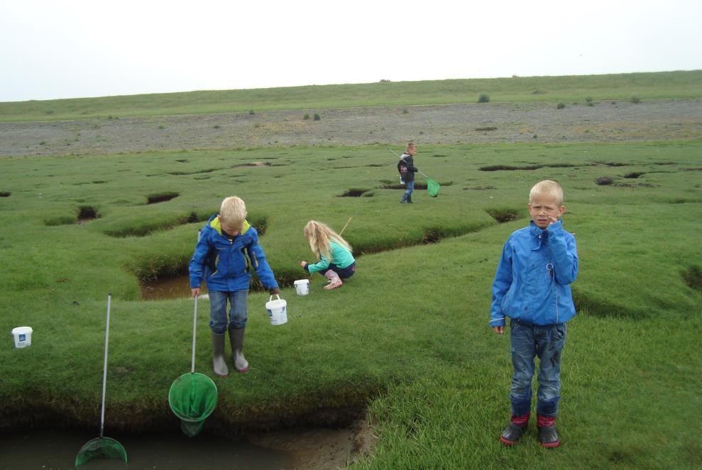 Hebt u zin om mee te helpen met het laatste-schooldag-feest, geeft u zich dan even op bij een van de leerkrachten. Schoollied. Donderdag 26 mei hebben we met alle kinderen ons schoollied gemaakt.