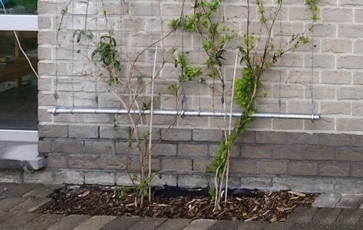 Bijlage Technische Fiche Klimhulp De klimhulp wordt gebruikt om klimplanten, met name rankers en winders, te laten groeien langs een muur.