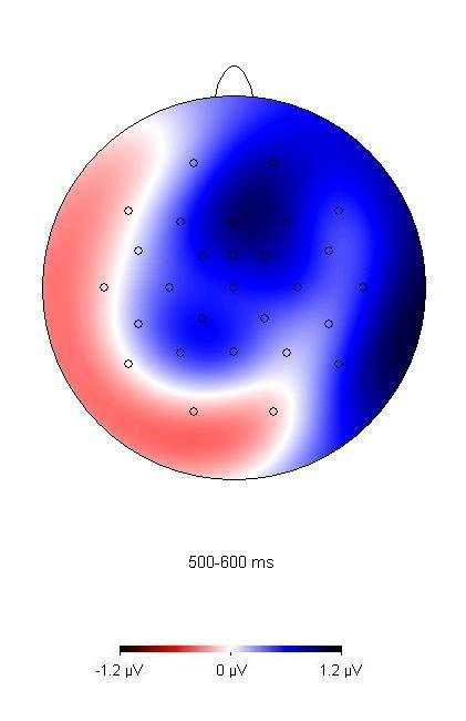 Figure 2.3 Triangulation-linear interpolated topographic map displaying the mean difference between tense violation and correct adverb-verb sentences in the 500-600 ms time window to critical word.