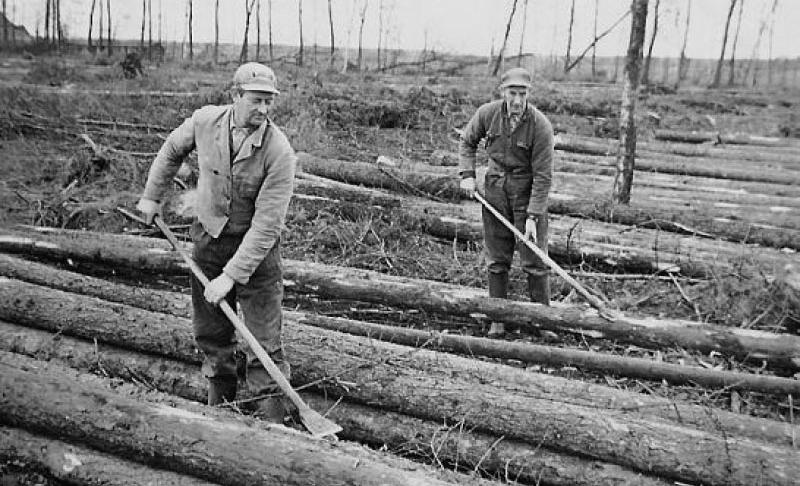 werkgelegenheidsprojecten. Spitten van heidegrond werd daarvan een belangrijk onderdeel en leverde nieuwe landbouwgrond en bosgrond op. Het bosareaal groeide van ca. 9000 ha in 1900 naar 24.