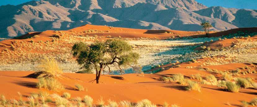 Rondreis Namibië Klassiek Individueel Huurwagen Incl. vluchten Air Namibia Etosha Dag 1: Frankfurt - Windhoek U vertrekt vanuit Frankfurt met een nachtvlucht naar Windhoek, hoofdstad van Namibië.