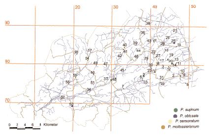 65 De gladde erwtenmossel en de fraaie erwtenmossel zijn samen aangetroffen in de Vleminkxloop te Mol-Sluis: een gekanaliseerde beek met helder water en een modderbodem (kaart 6: meetpunt 8).